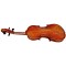 Eastman Master Series Violin 